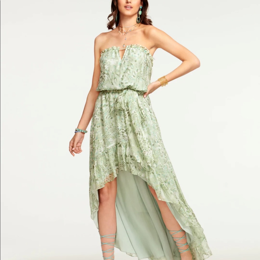 Ramy Brook Printed Neve Strapless Maxi Dress